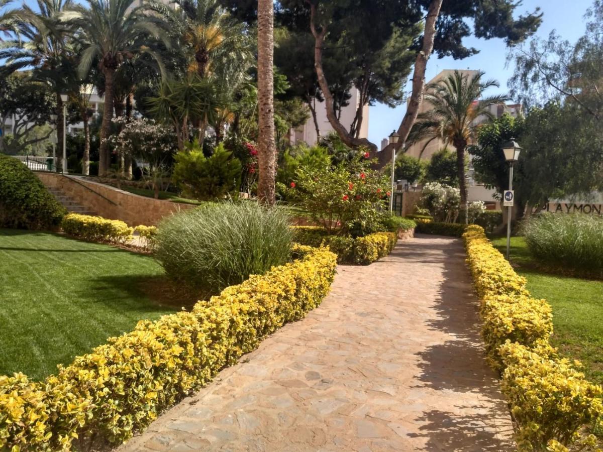 Wifi Loix Apartment Benidorm Ngoại thất bức ảnh