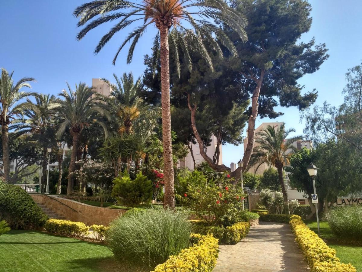 Wifi Loix Apartment Benidorm Ngoại thất bức ảnh